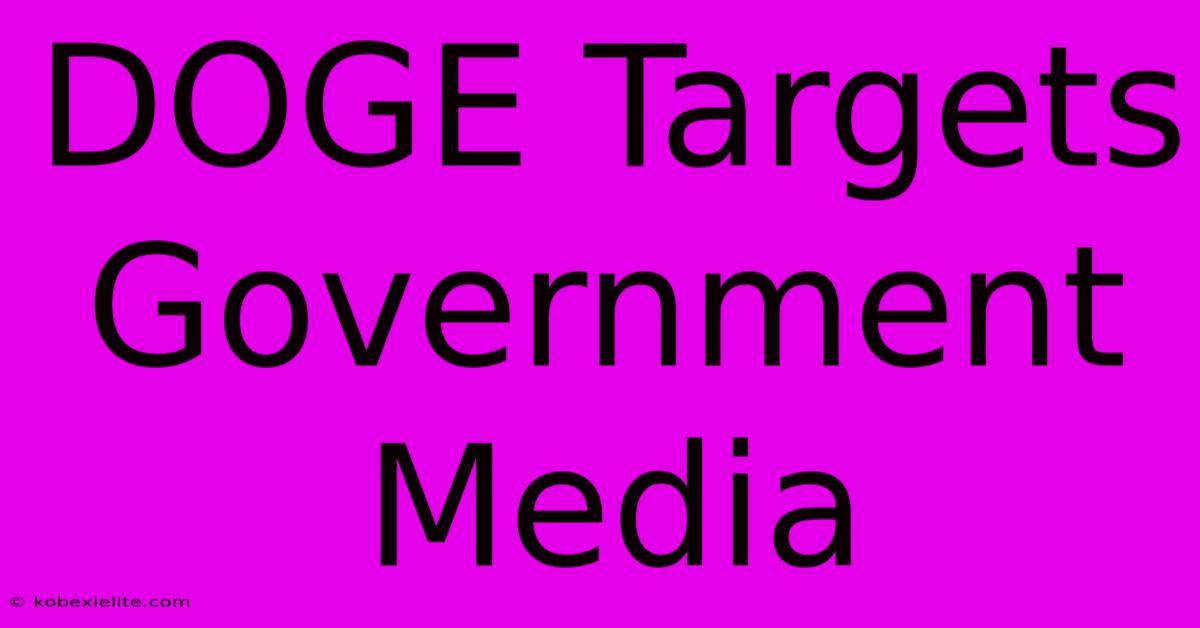 DOGE Targets Government Media