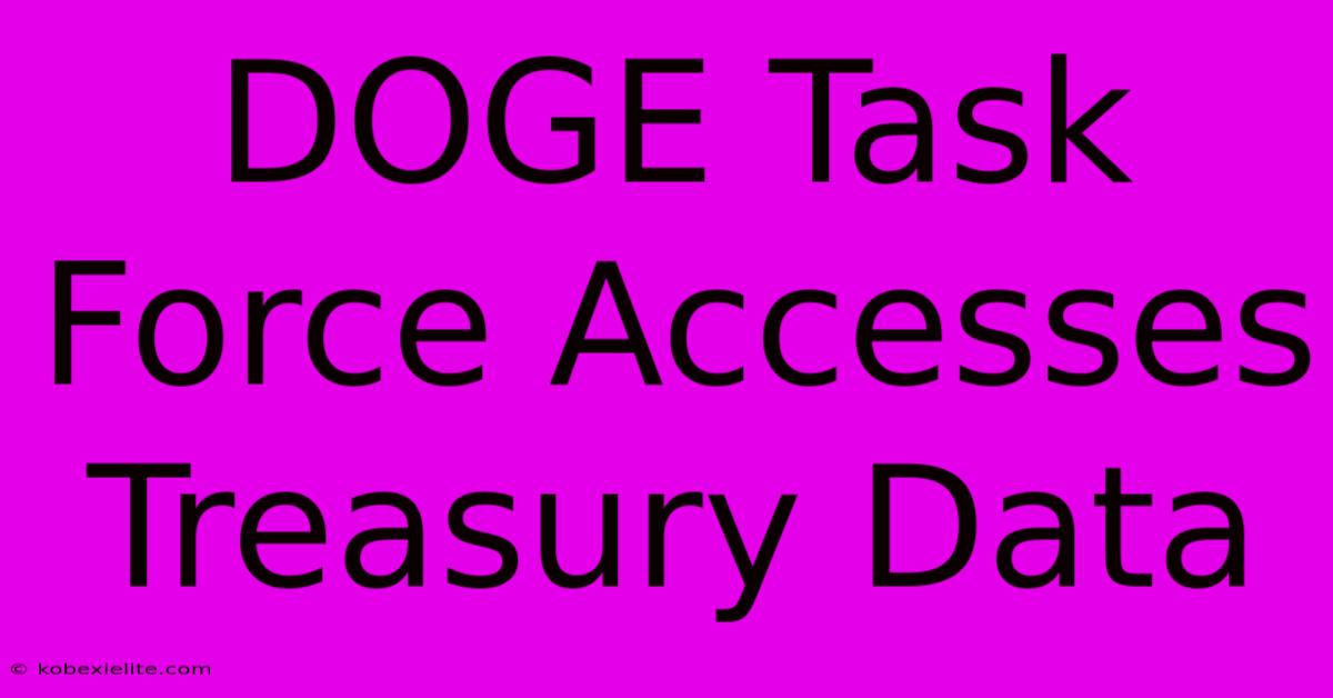 DOGE Task Force Accesses Treasury Data