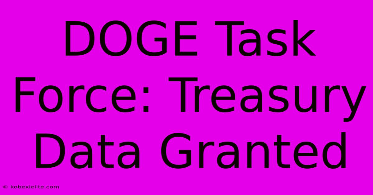 DOGE Task Force: Treasury Data Granted