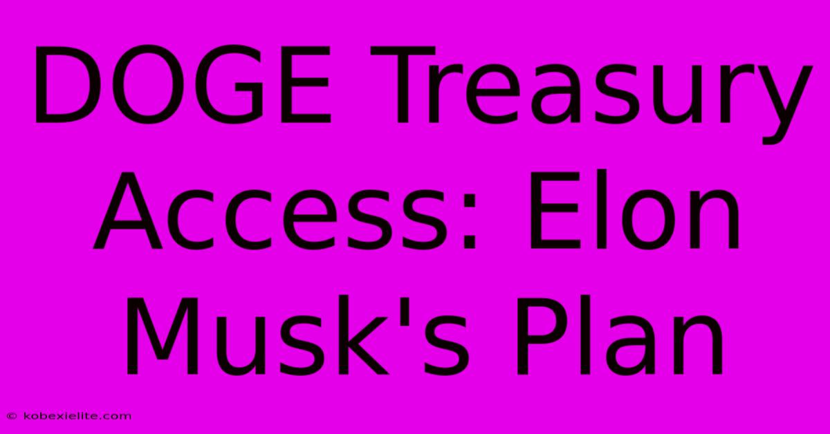 DOGE Treasury Access: Elon Musk's Plan