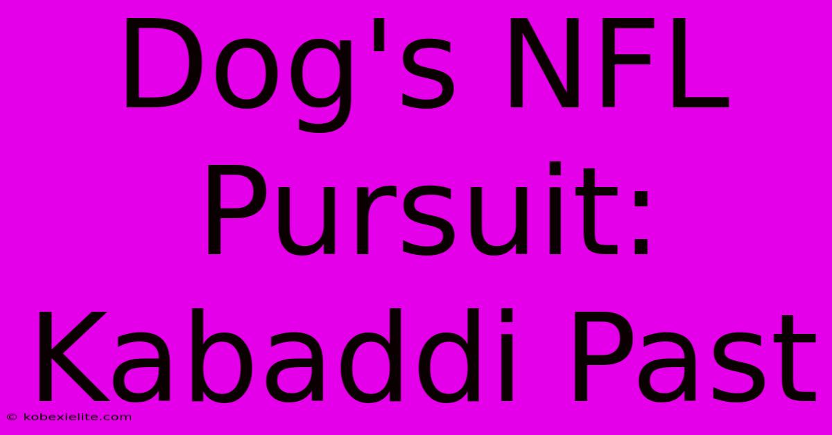 Dog's NFL Pursuit: Kabaddi Past