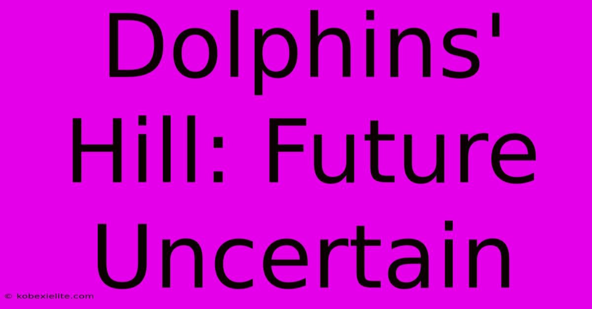 Dolphins' Hill: Future Uncertain