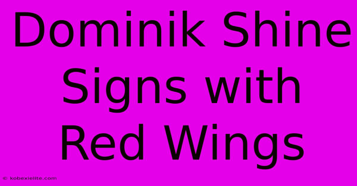 Dominik Shine Signs With Red Wings