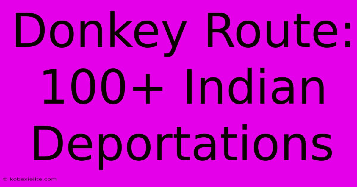 Donkey Route: 100+ Indian Deportations