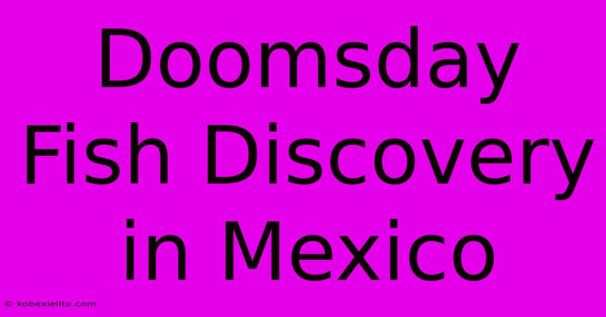 Doomsday Fish Discovery In Mexico Doomsday Fish Discovery In Mexico