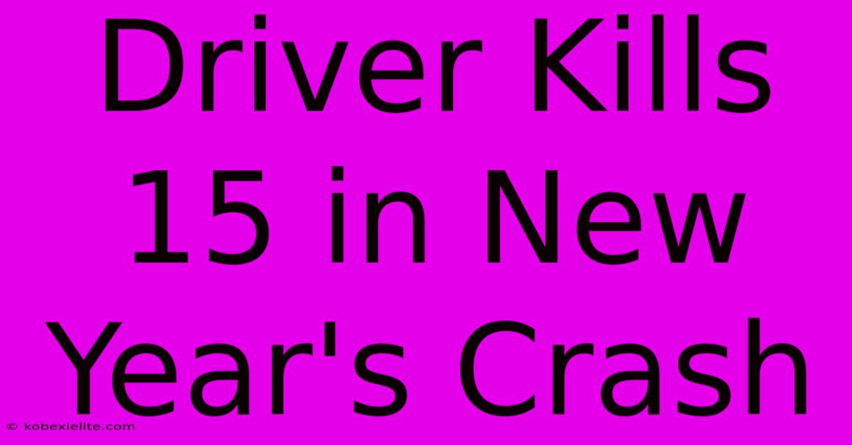 Driver Kills 15 In New Year's Crash