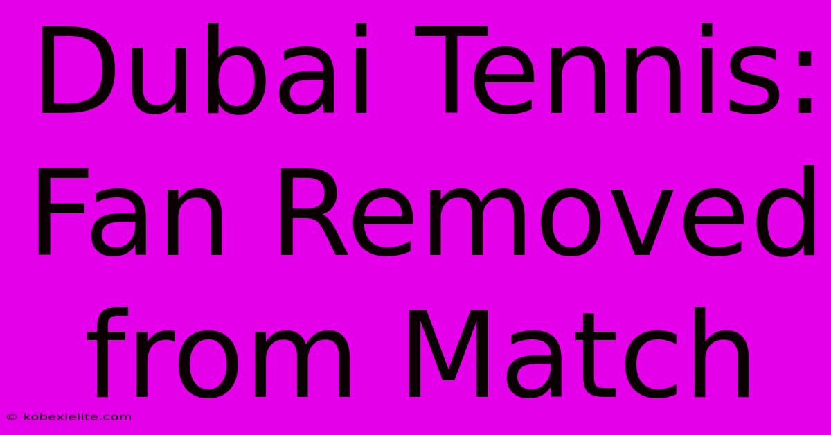 Dubai Tennis: Fan Removed From Match