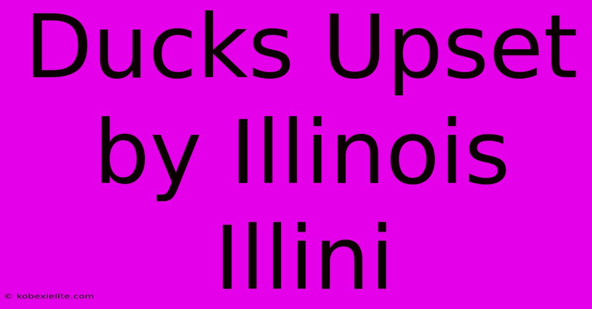 Ducks Upset By Illinois Illini