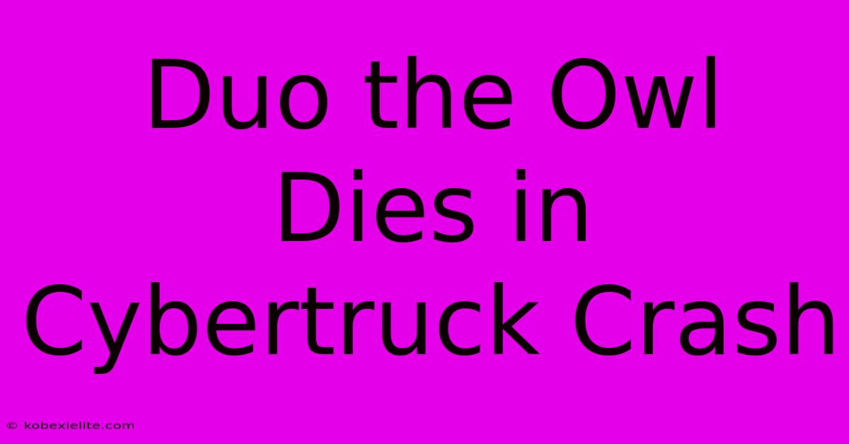 Duo The Owl Dies In Cybertruck Crash