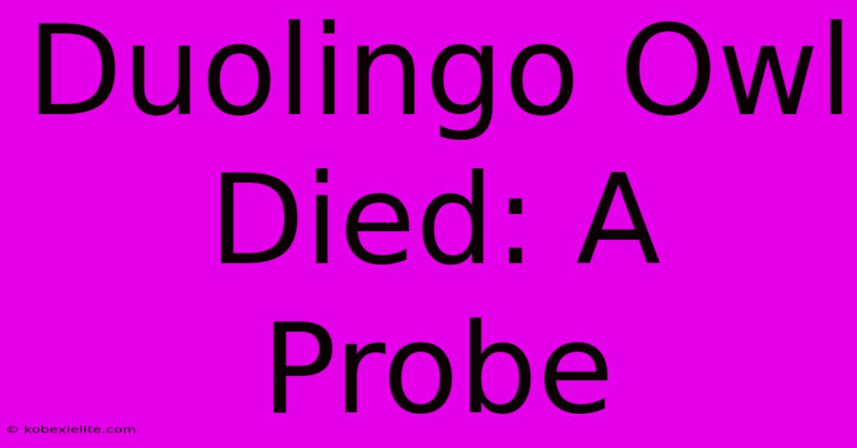 Duolingo Owl Died: A Probe