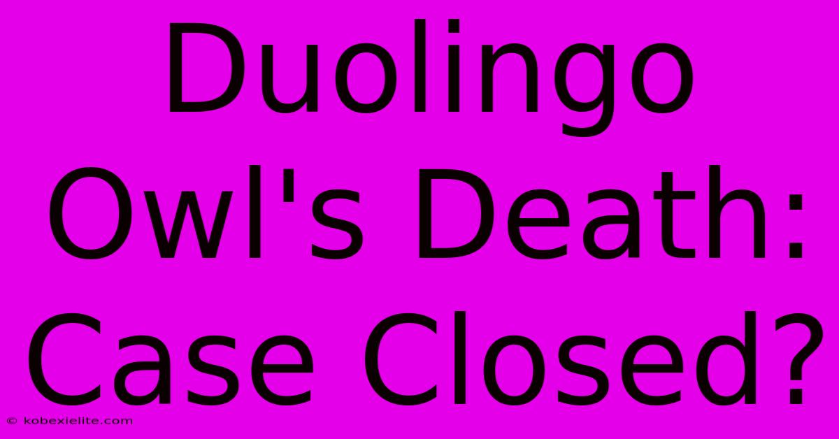 Duolingo Owl's Death: Case Closed?