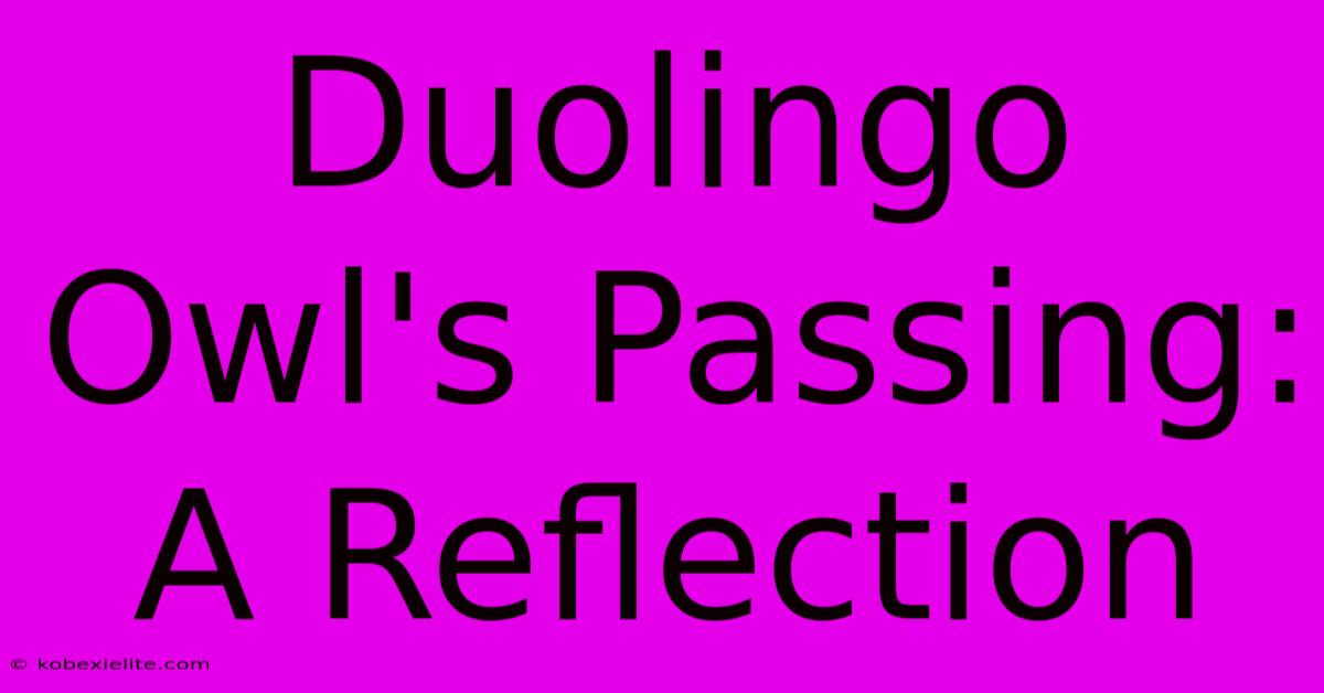 Duolingo Owl's Passing:  A Reflection