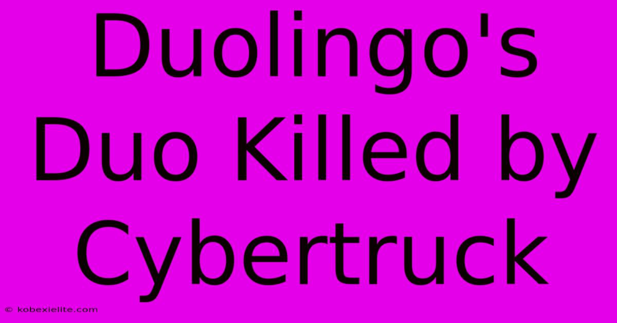 Duolingo's Duo Killed By Cybertruck