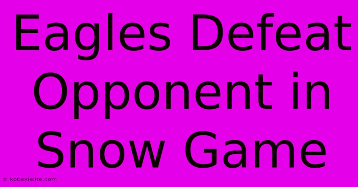 Eagles Defeat Opponent In Snow Game