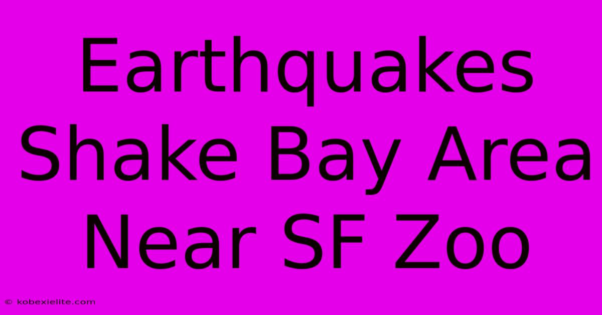 Earthquakes Shake Bay Area Near SF Zoo