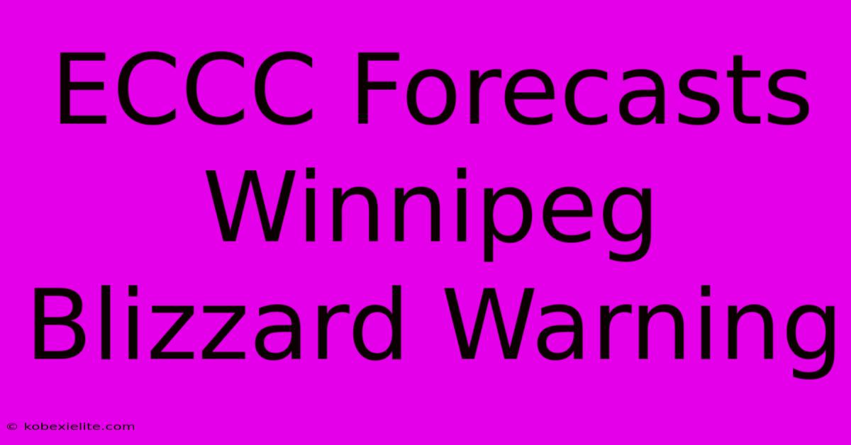 ECCC Forecasts Winnipeg Blizzard Warning