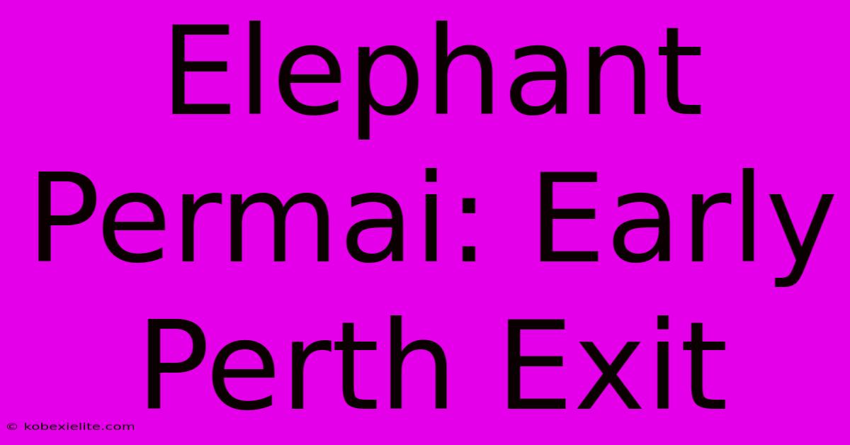 Elephant Permai: Early Perth Exit Elephant Permai: Early Perth Exit