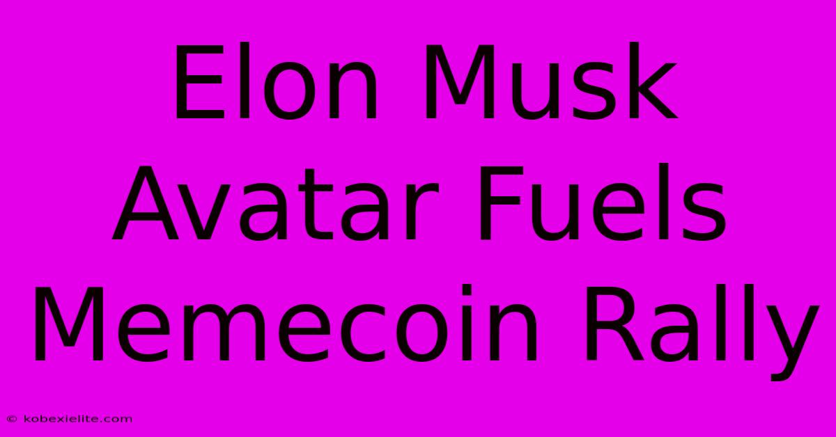 Elon Musk Avatar Fuels Memecoin Rally