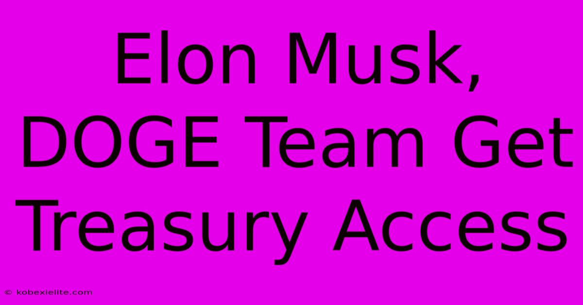 Elon Musk, DOGE Team Get Treasury Access