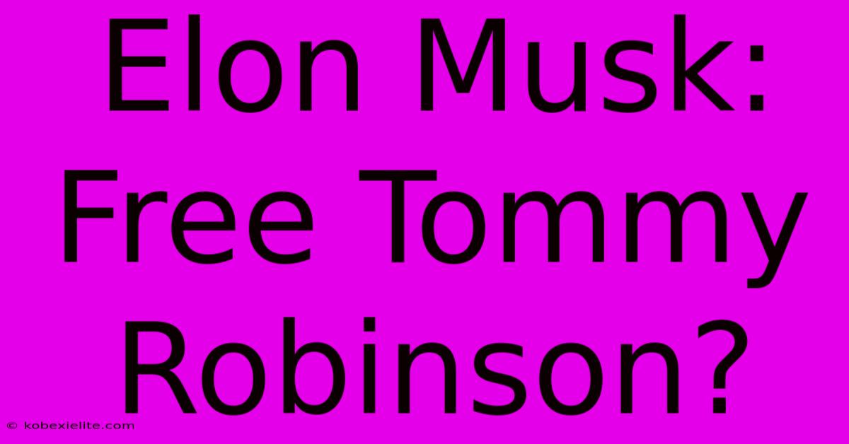 Elon Musk: Free Tommy Robinson?