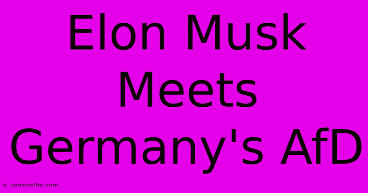 Elon Musk Meets Germany's AfD