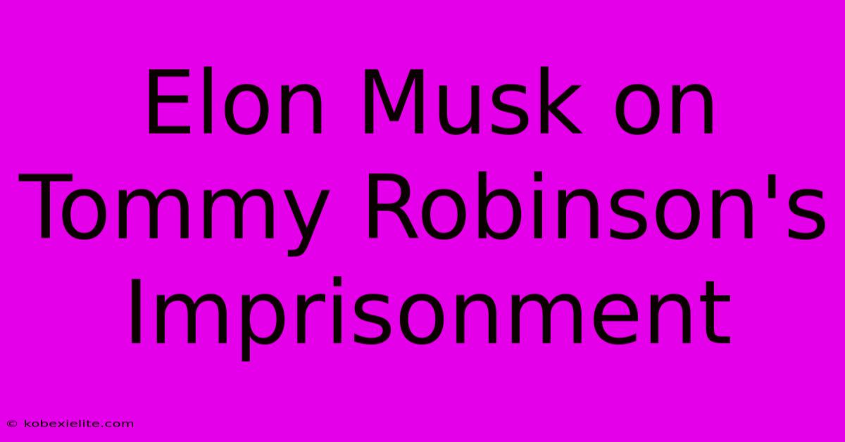 Elon Musk On Tommy Robinson's Imprisonment