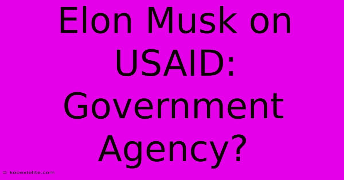 Elon Musk On USAID: Government Agency?