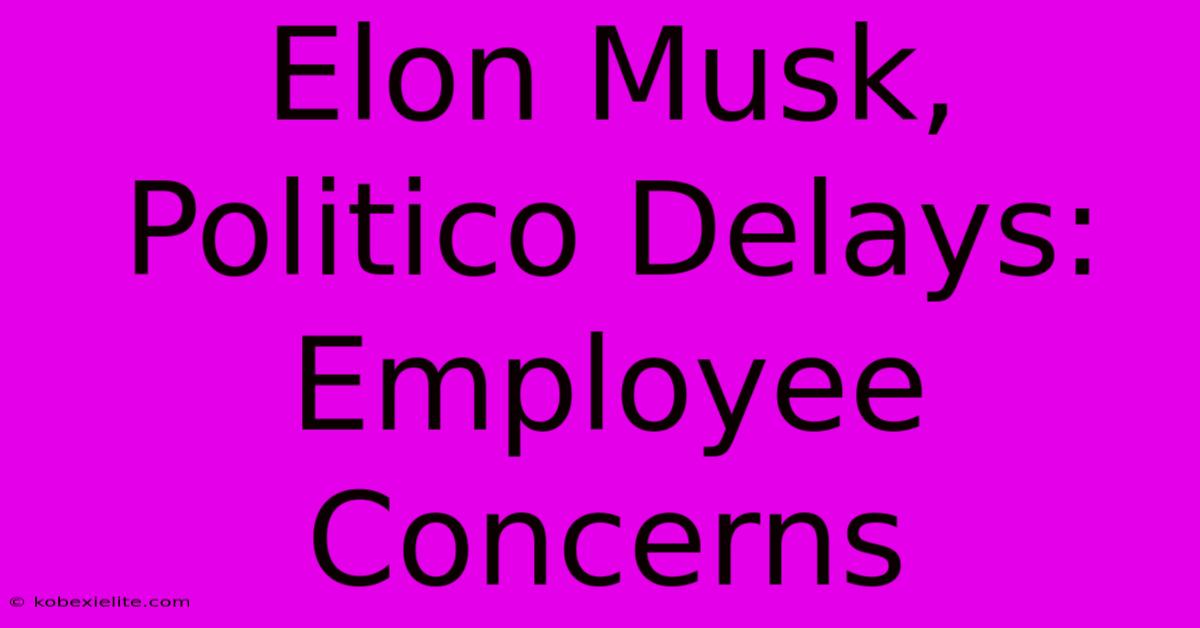 Elon Musk, Politico Delays: Employee Concerns