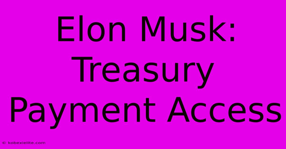 Elon Musk: Treasury Payment Access