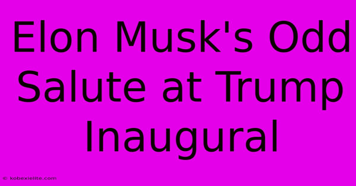 Elon Musk's Odd Salute At Trump Inaugural