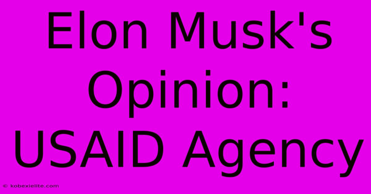 Elon Musk's Opinion: USAID Agency