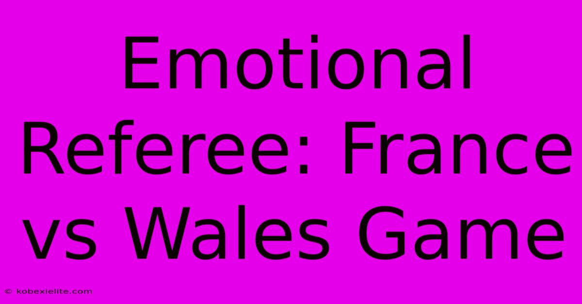 Emotional Referee: France Vs Wales Game