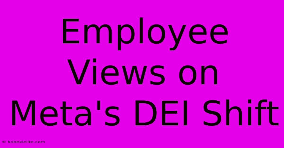 Employee Views On Meta's DEI Shift