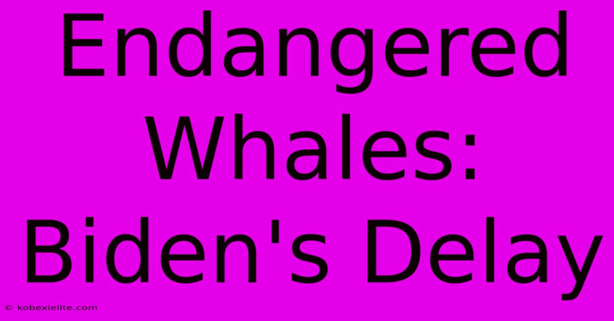 Endangered Whales: Biden's Delay