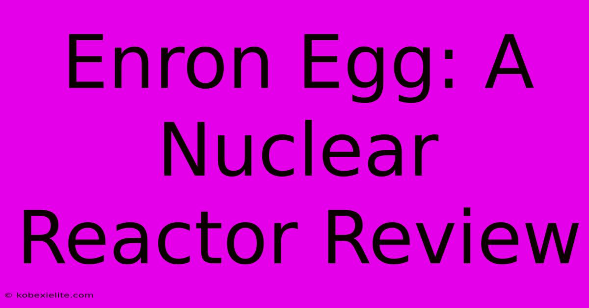 Enron Egg: A Nuclear Reactor Review