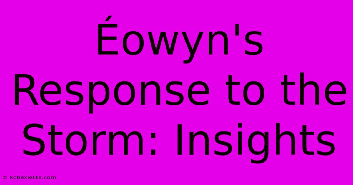 Éowyn's Response To The Storm: Insights