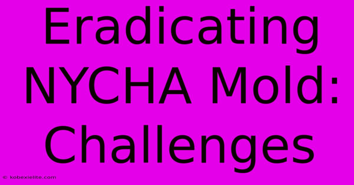 Eradicating NYCHA Mold: Challenges