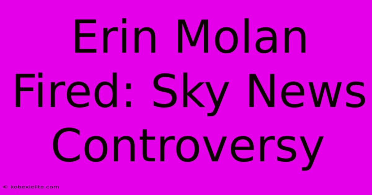 Erin Molan Fired: Sky News Controversy Erin Molan Fired: Sky News Controversy