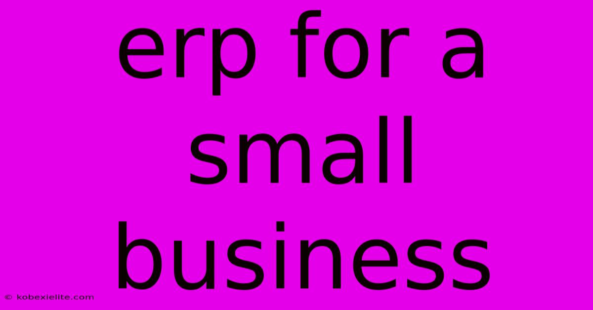 Erp For A Small Business