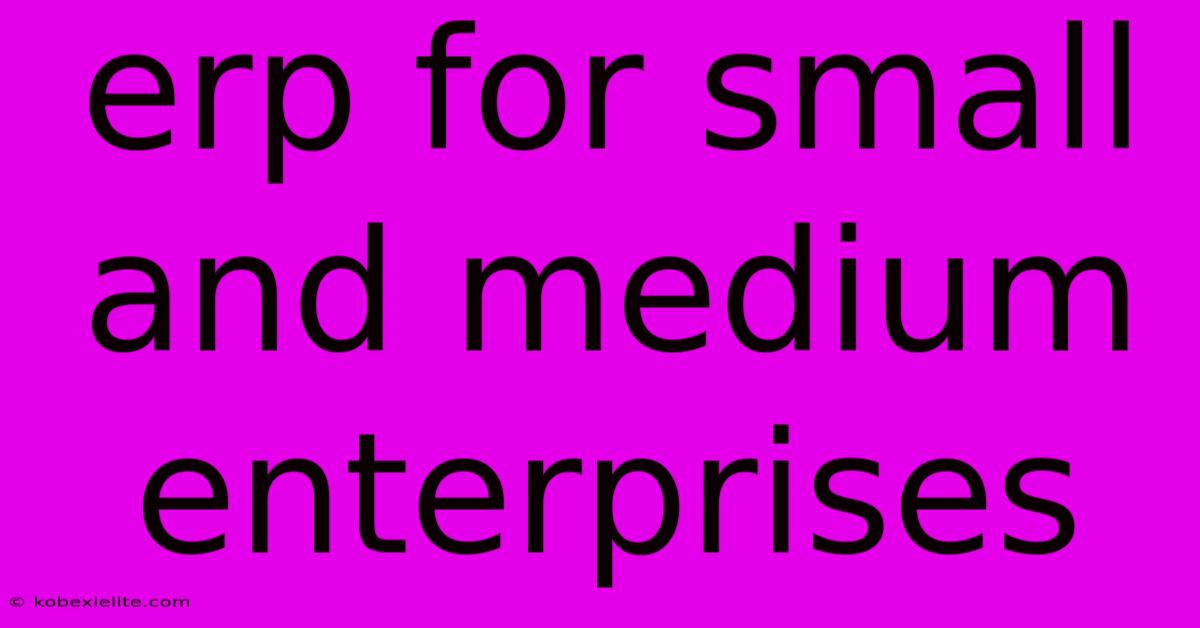 Erp For Small And Medium Enterprises