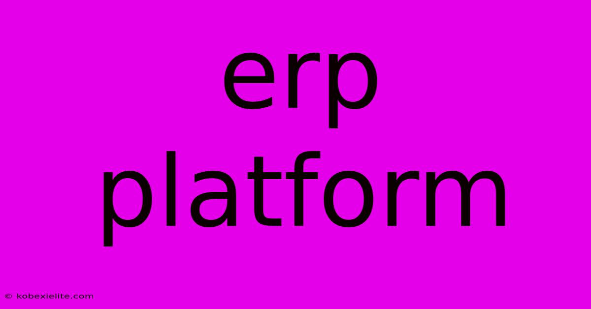 Erp Platform