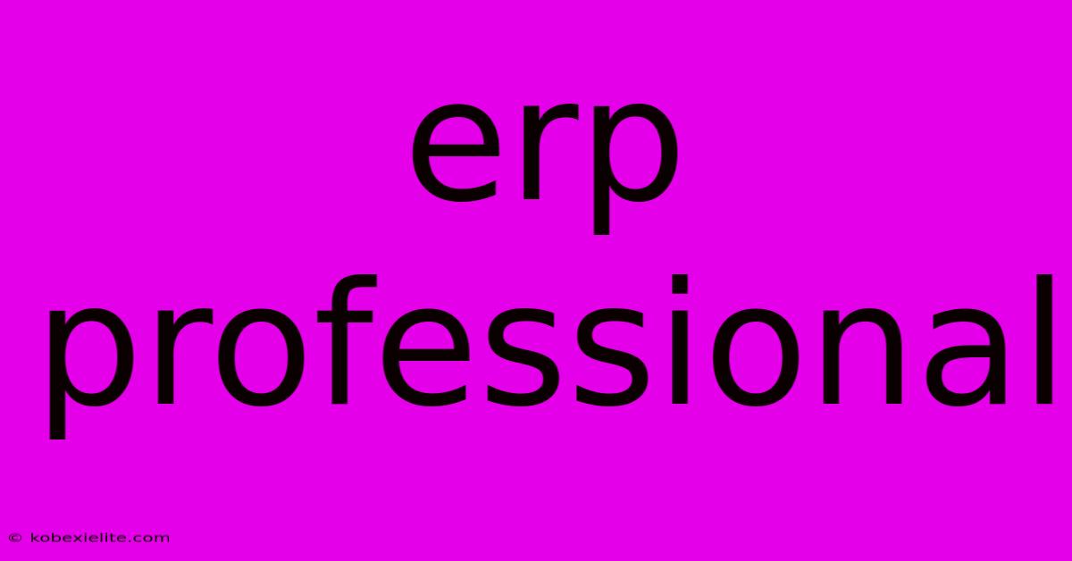 Erp Professional