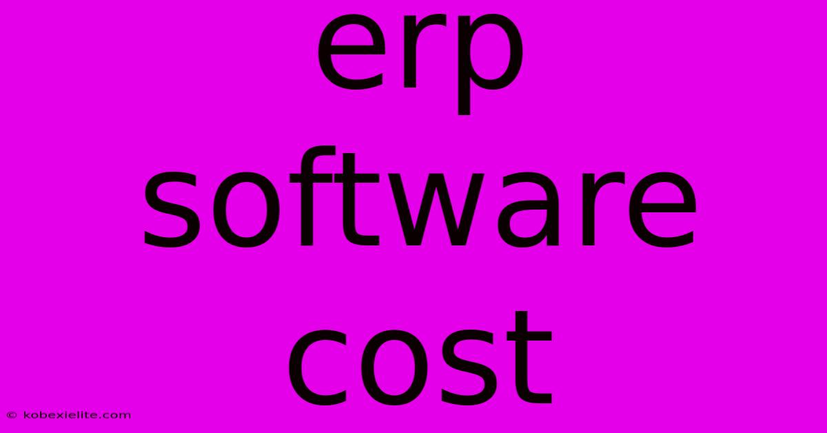 Erp Software Cost