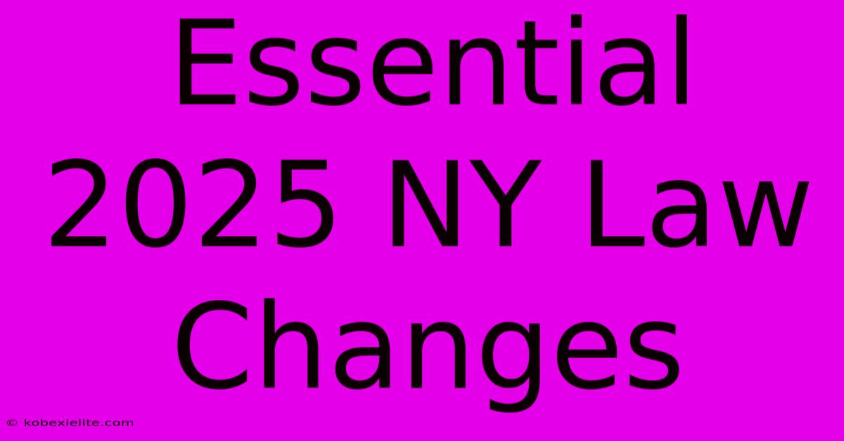 Essential 2025 NY Law Changes