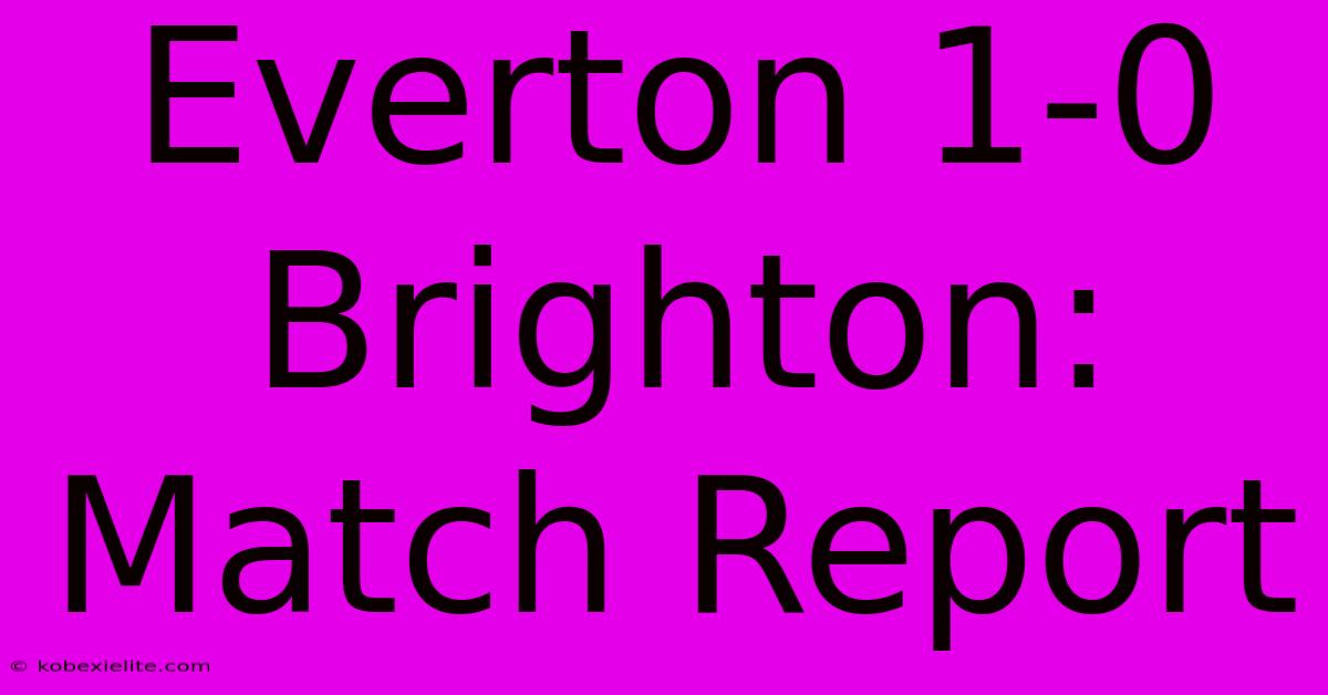 Everton 1-0 Brighton: Match Report