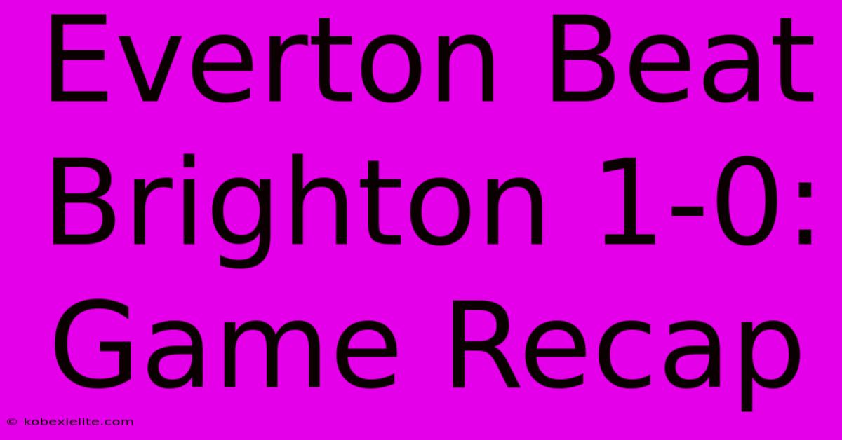 Everton Beat Brighton 1-0: Game Recap