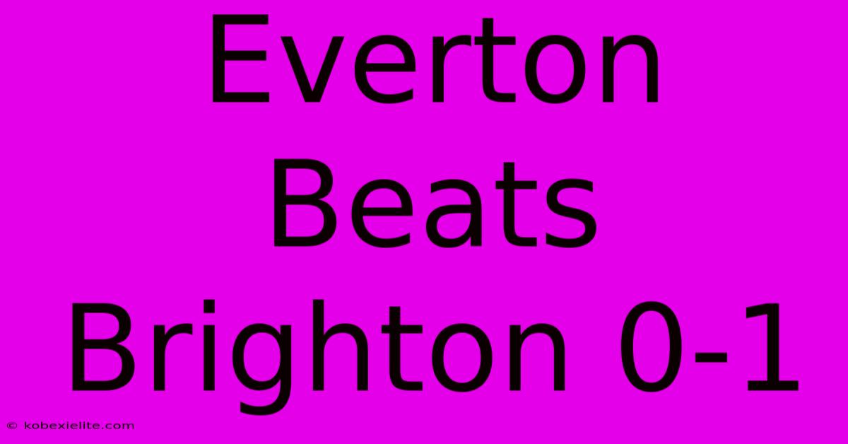 Everton Beats Brighton 0-1