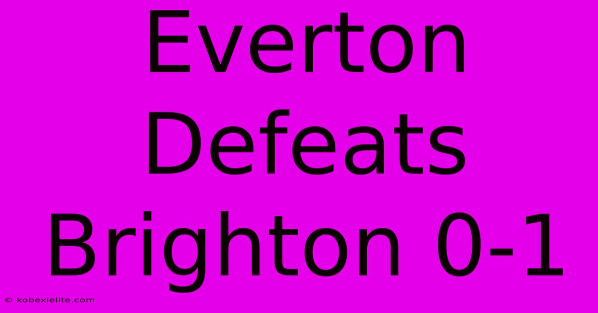 Everton Defeats Brighton 0-1