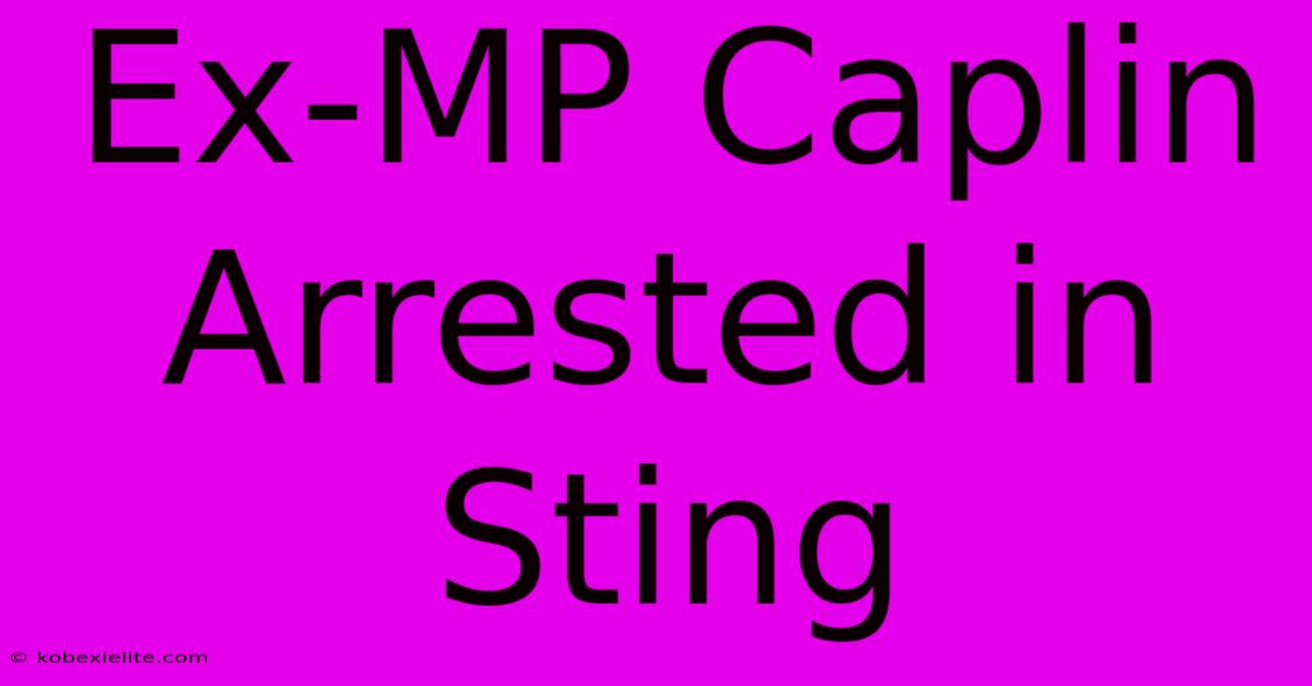 Ex-MP Caplin Arrested In Sting