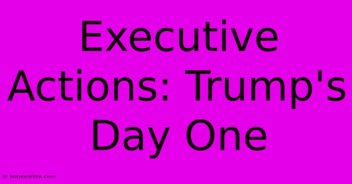 Executive Actions: Trump's Day One